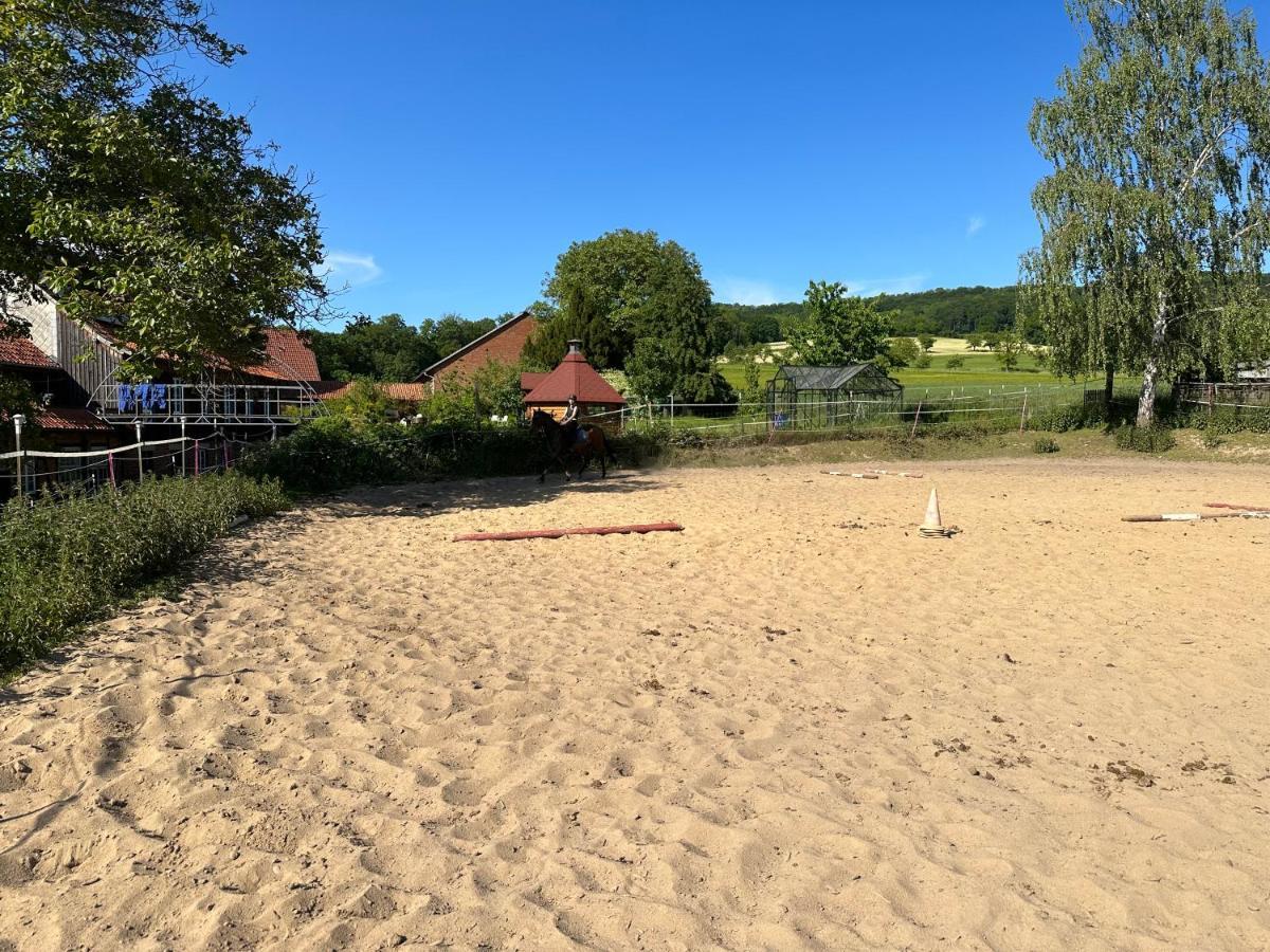 Fewo Im Reit- Und Ponyparadies Roos Halle  Esterno foto