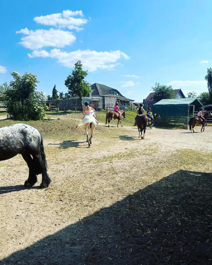Fewo Im Reit- Und Ponyparadies Roos Halle  Esterno foto