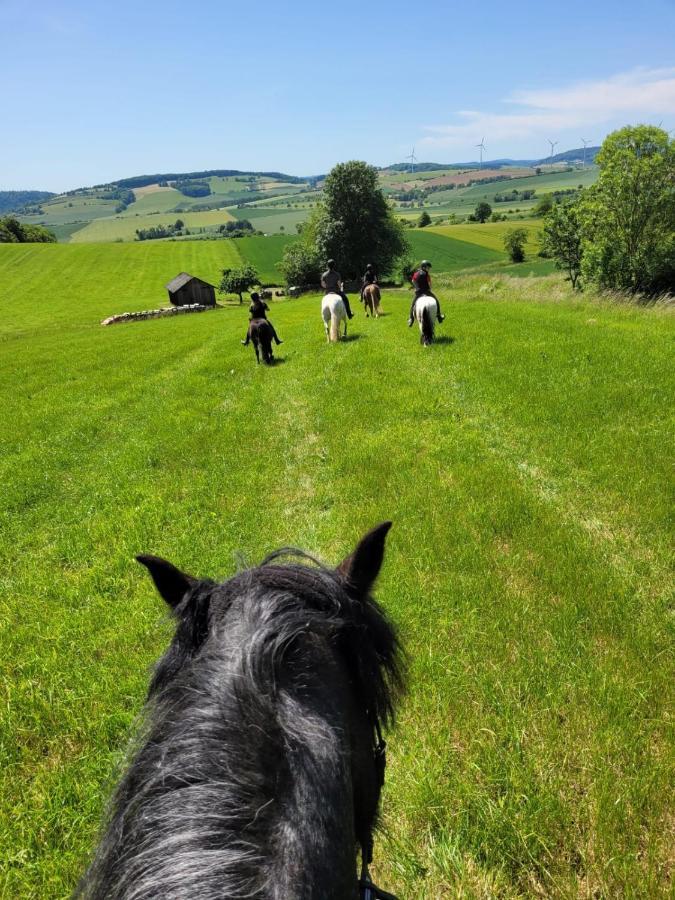 Fewo Im Reit- Und Ponyparadies Roos Halle  Esterno foto