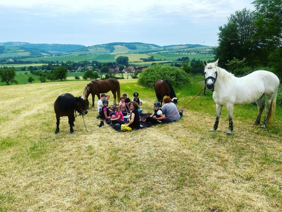 Fewo Im Reit- Und Ponyparadies Roos Halle  Esterno foto