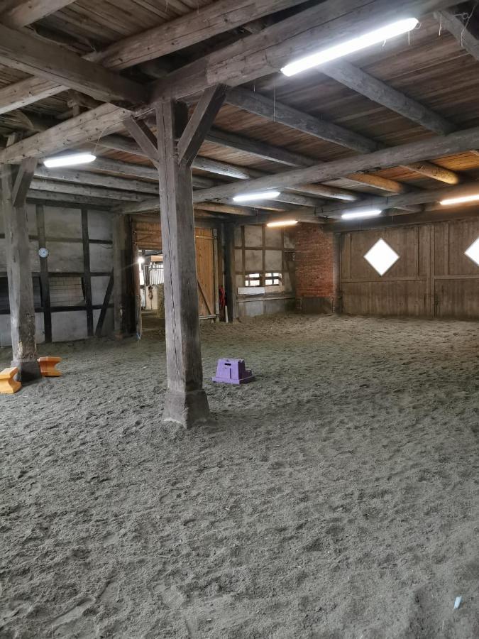Fewo Im Reit- Und Ponyparadies Roos Halle  Esterno foto