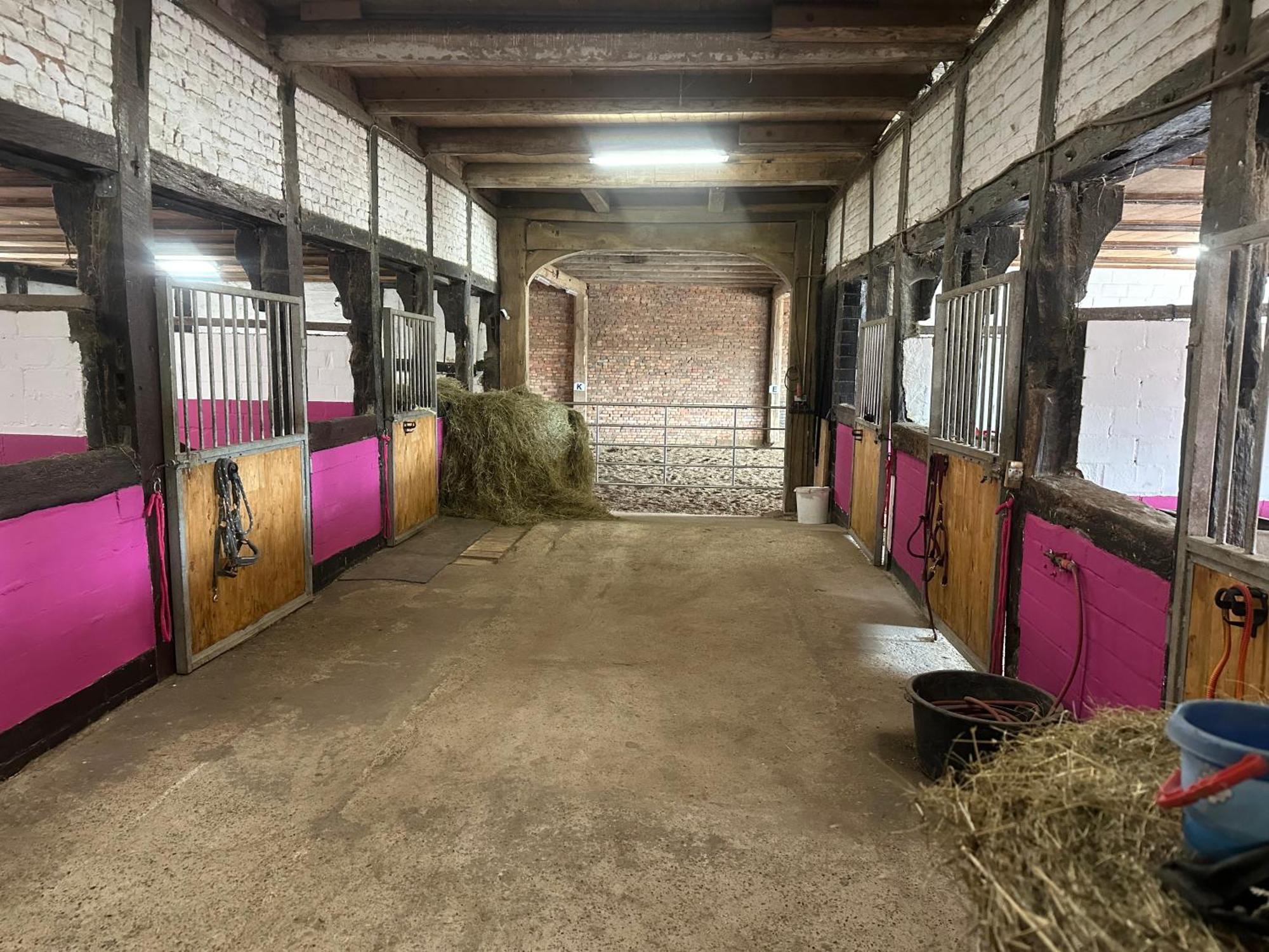 Fewo Im Reit- Und Ponyparadies Roos Halle  Esterno foto