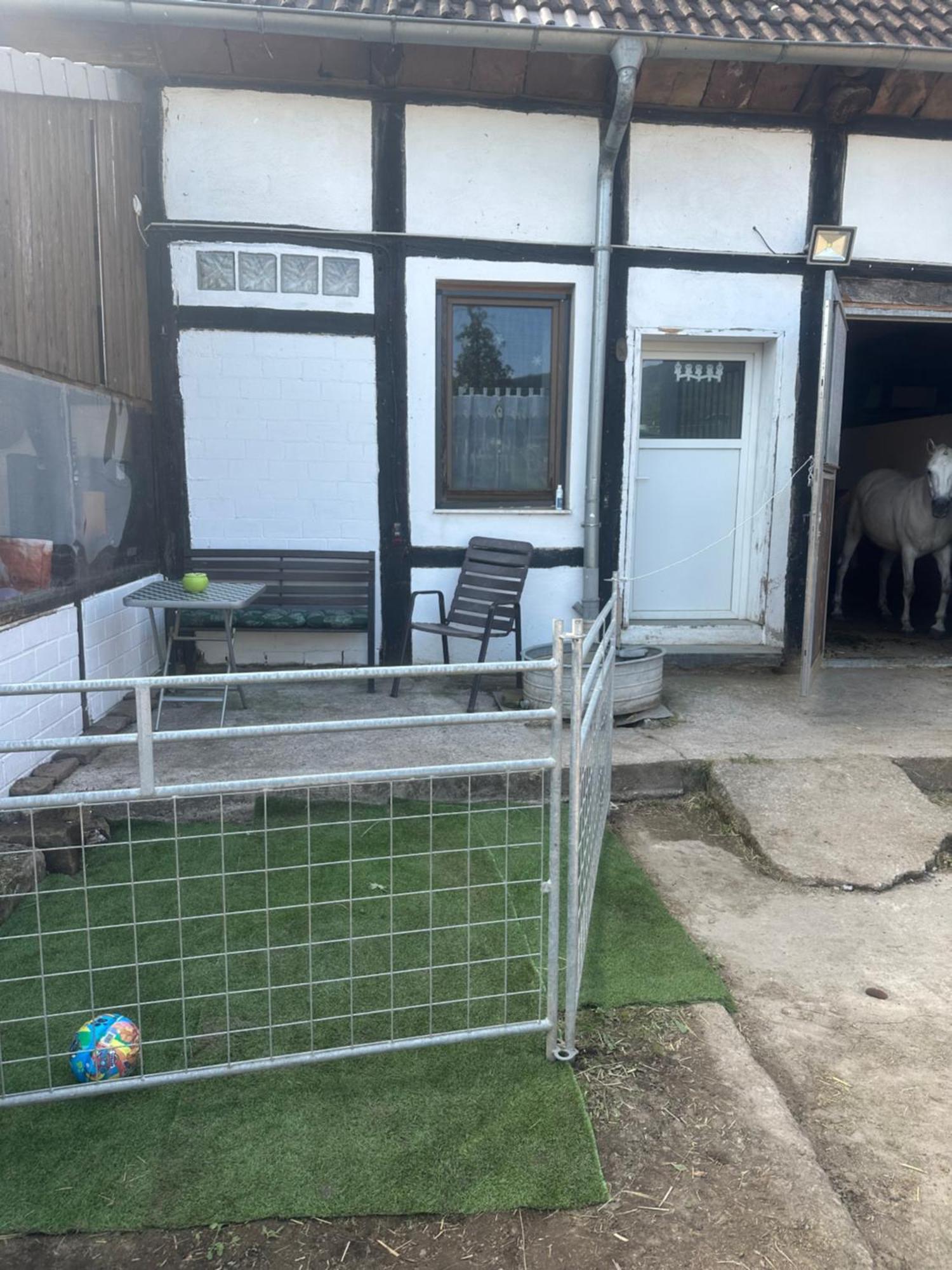 Fewo Im Reit- Und Ponyparadies Roos Halle  Esterno foto